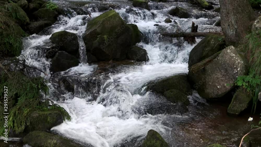 River water stream running among stones. Cold water stream flows among green mossy rocks in the forest. River water stream running among stones. Cold water stream flows among green mossy rocks in the forest.