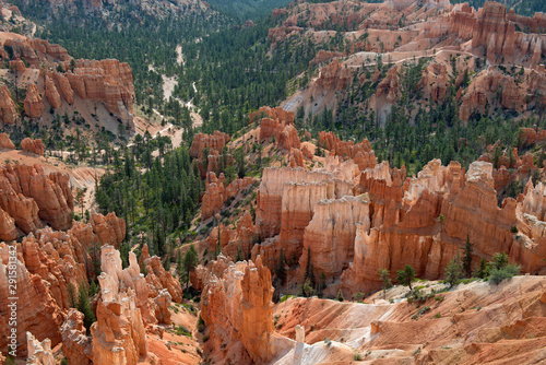 Trees between hoodoos in Bryce Canyon