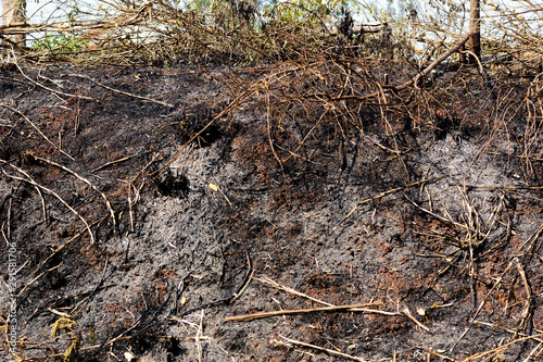 Field fire - Burnt dry grass - Straw burning in Brazil.