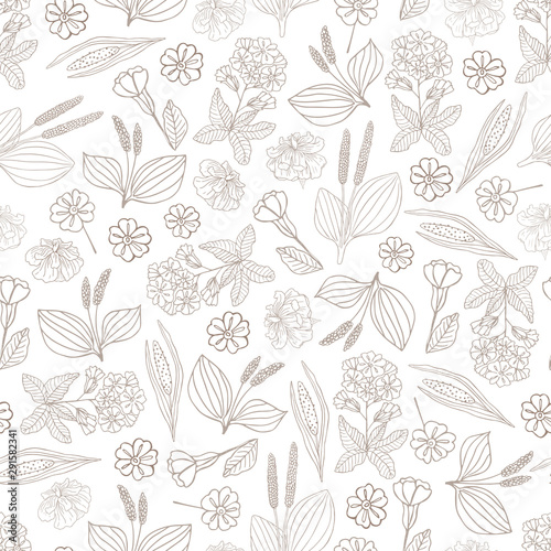 Herbs, spices and seasonings collection. Vector hand drawn seamless pattern with different plants