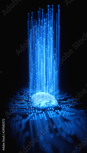 Fingerprint integrated in a printed circuit, releasing binary codes.