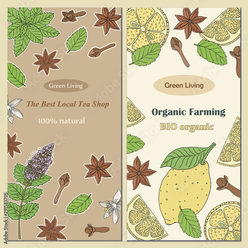 Tea collection.Vector hand drawn illustration of different ingredients for a nice tea drinking. Herbs, spices and fruits on flyer templates
