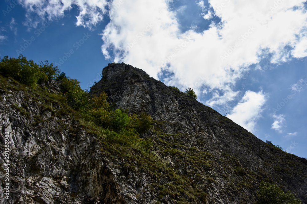 Fototapeta premium Sybahec