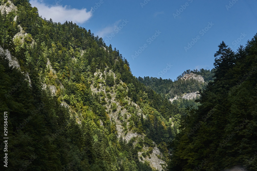 Obraz premium Sybahec