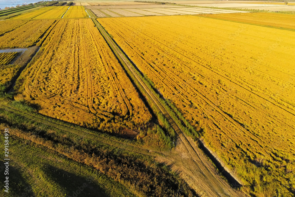 Naklejka premium aerial view on cultivated fields