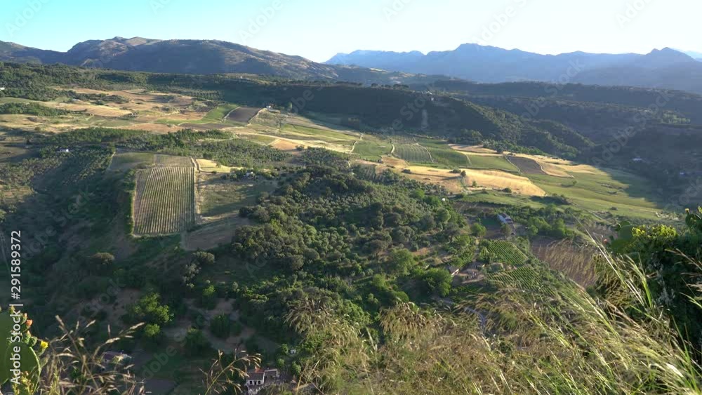 The beautiful landscape surrounding Ronda, Province of Malaga, Andalusia, Spain.