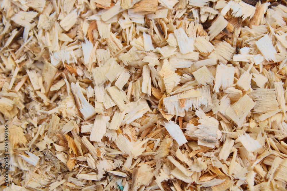 Wood sawdust. Top view. Close-up. Background. Texture. Wood sawdust. Top view. Close-up. Background. Texture.