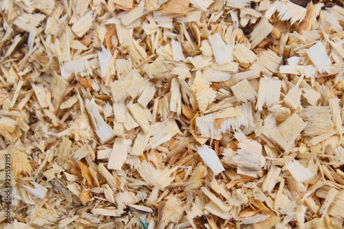 Wood sawdust. Top view. Close-up. Background. Texture.