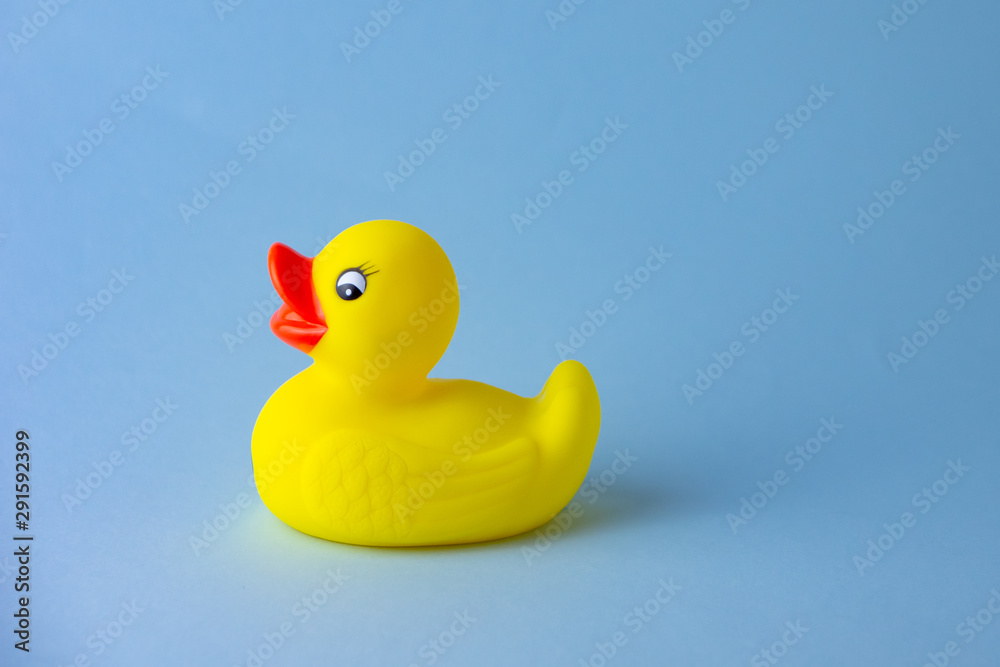 Yellow rubber duck on blue background Yellow rubber duck on blue background