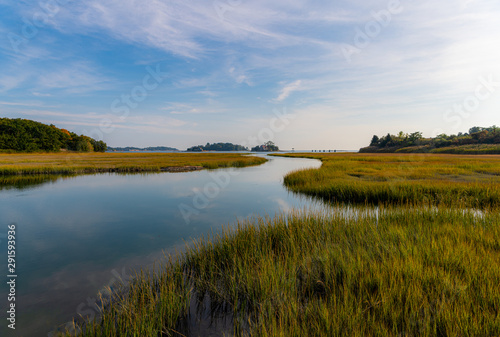 Long Island Sound Marsh
