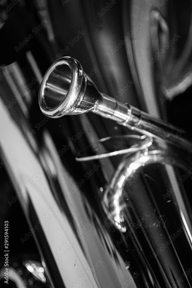 Tuba Noir - Mouthpiece and Bell