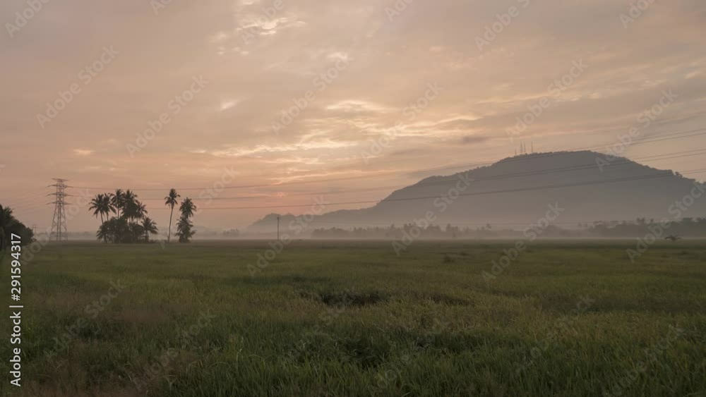 Timelapse fog weather early morning of rice paddy field. After sun rise up it disappear in the cloud.