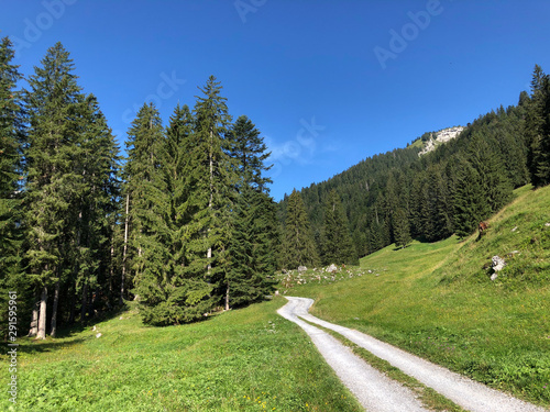 Alpine pastures and grasslands in the Oberseetal alpine valley, Nafels (Näfels or Naefels) - Canton of Glarus, Switzerland photo