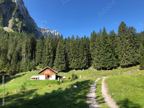 Alpine pastures and grasslands in the Oberseetal alpine valley, Nafels (Näfels or Naefels) - Canton of Glarus, Switzerland photo