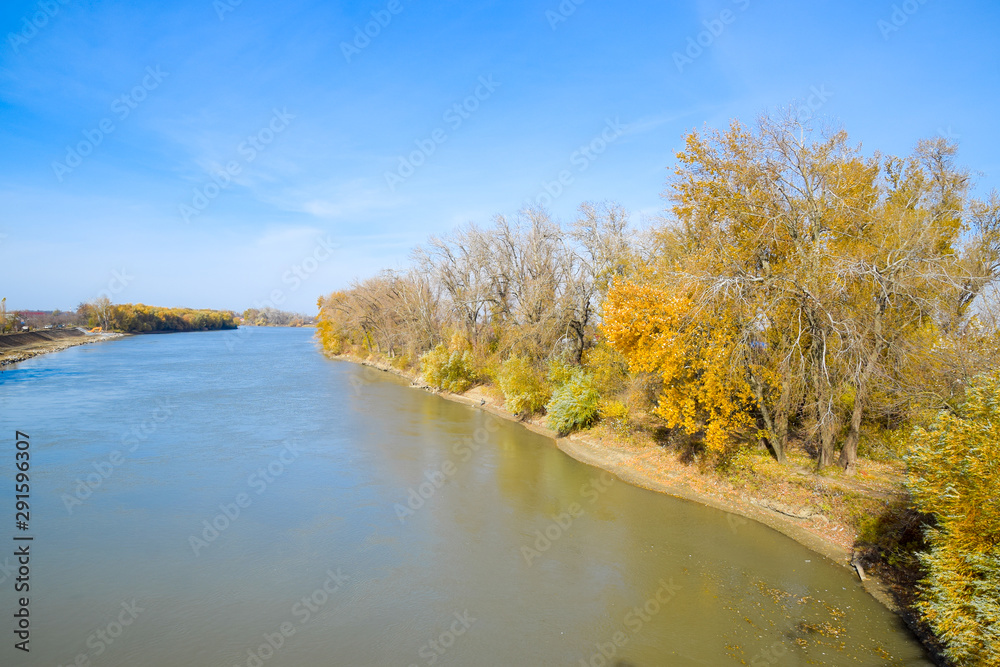 Autumn landscape. the river and the bridge type. Trees with yell