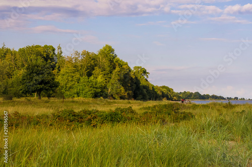 Beautiful landscape by the lake.