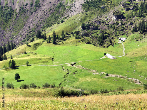 Alpine pastures and grasslands in the Oberseetal alpine valley, Nafels (Näfels or Naefels) - Canton of Glarus, Switzerland photo