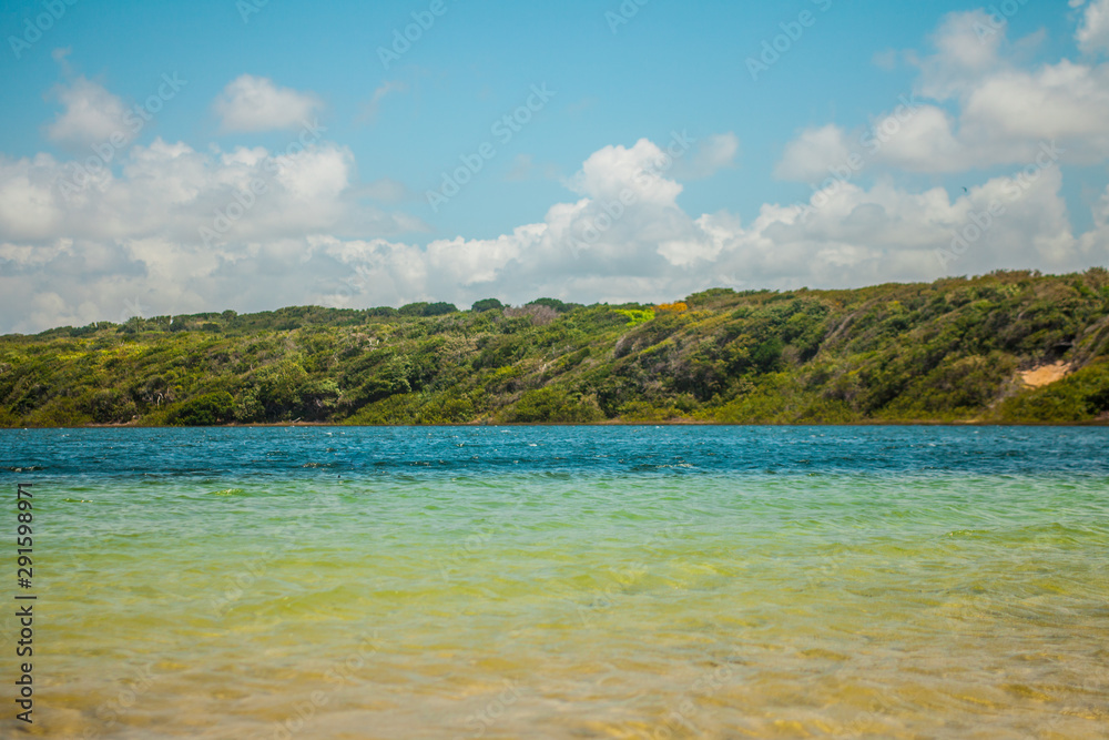 Colorful water of arituba lagoon and in the background leafy trees. Colorful water of arituba lagoon and in the background leafy trees.