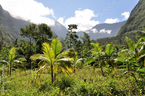 Tropisches Bergparadies