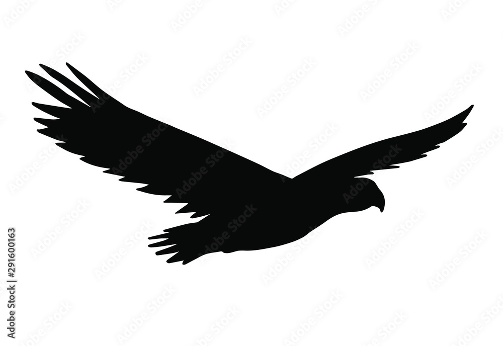 Vector flying American eagle silhouette isolated on white background Vector flying American eagle silhouette isolated on white background