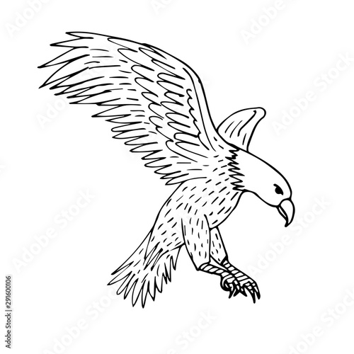Vector hand drawn sketch flying eagle isolated on white background