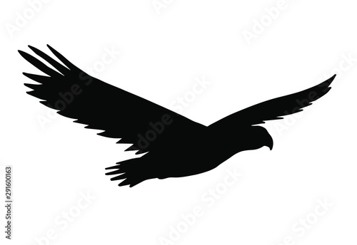 Vector flying American eagle silhouette isolated on white background