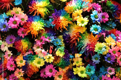 Bright colorful flowers