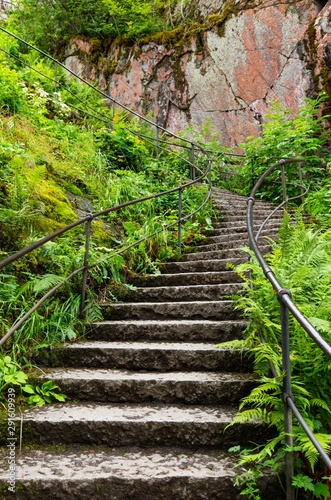 stairs in forestFinland Aulanko National Park. Nature landscape.