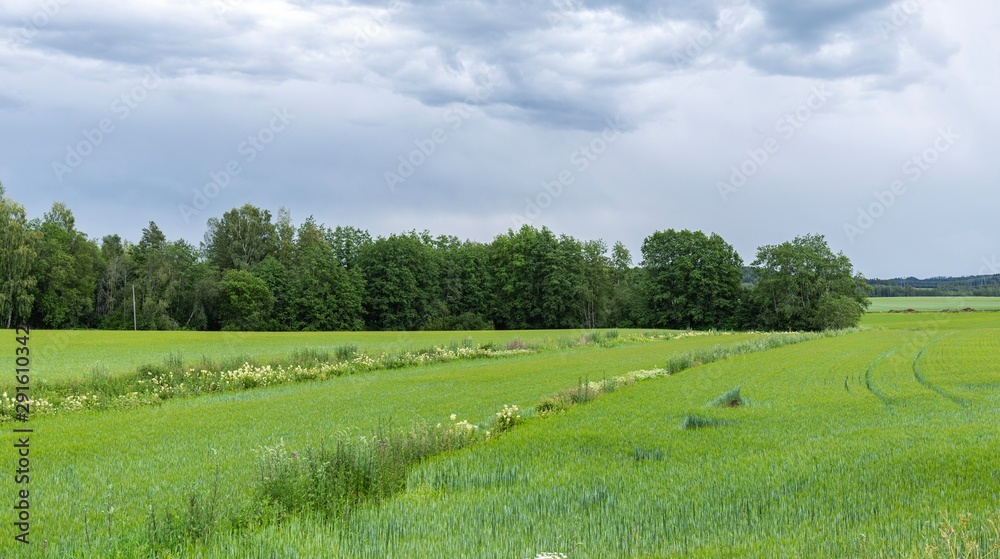 Fields, lakes of finland. Panoramic field landscape. Beautiful nature background. Fields, lakes of finland. Panoramic field landscape. Beautiful nature background.