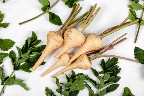 PARSNIP, FRESH with leaves only from the garden, on a white background .