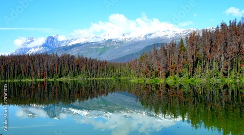 Fototapeta Naklejka Na Ścianę i Meble -  Scenic view of the Mountains of the Canadian Rockies