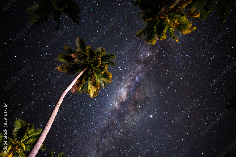 Starry night above Palm trees on the tropical island of Samoa