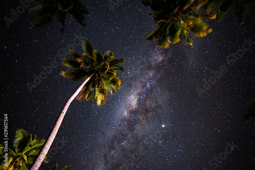 Obraz na płótnie Starry night above Palm trees on the tropical island of Samoa w salonie