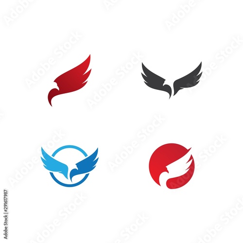 Set of Falcon Eagle Bird Logo