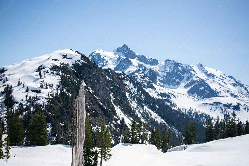 Fototapeta premium mountains in winter