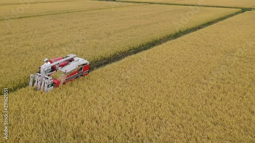 空撮 日本の秋 稲刈り 作業風景