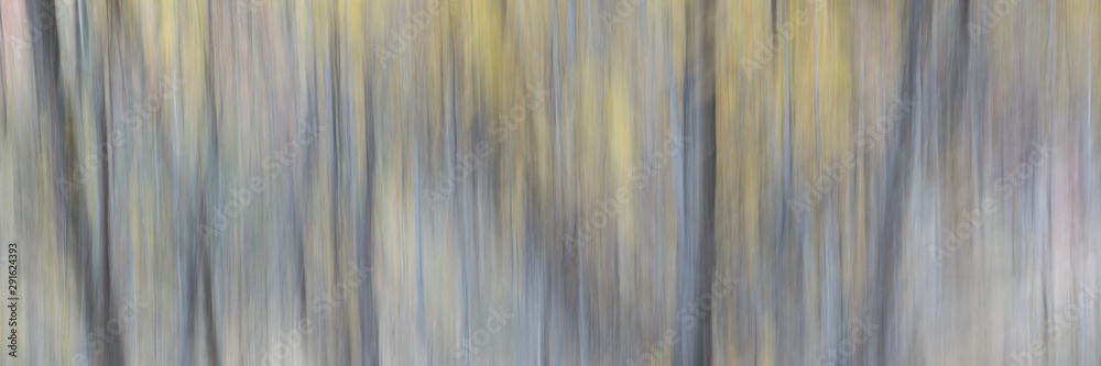 Obraz premium nature motion blur abstract