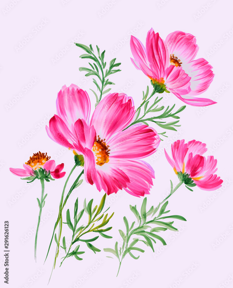 Daisy water color flower Daisy water color flower