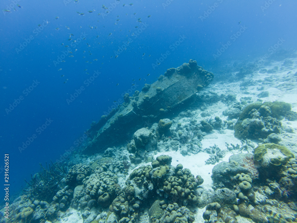 Fototapeta premium Bonaire Shipwreck