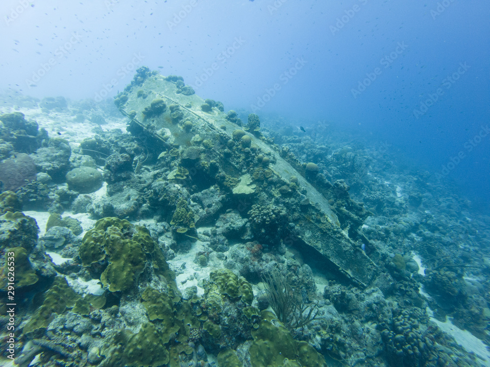 Fototapeta premium Bonaire Shipwreck
