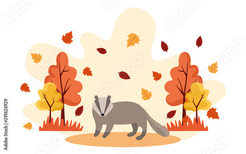 hello autumn season scene with raccoon