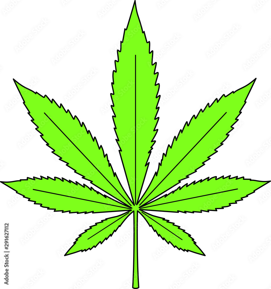 大麻、マリファナ 大麻、マリファナ