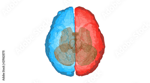 Abstract low poly brain illustration on white BG