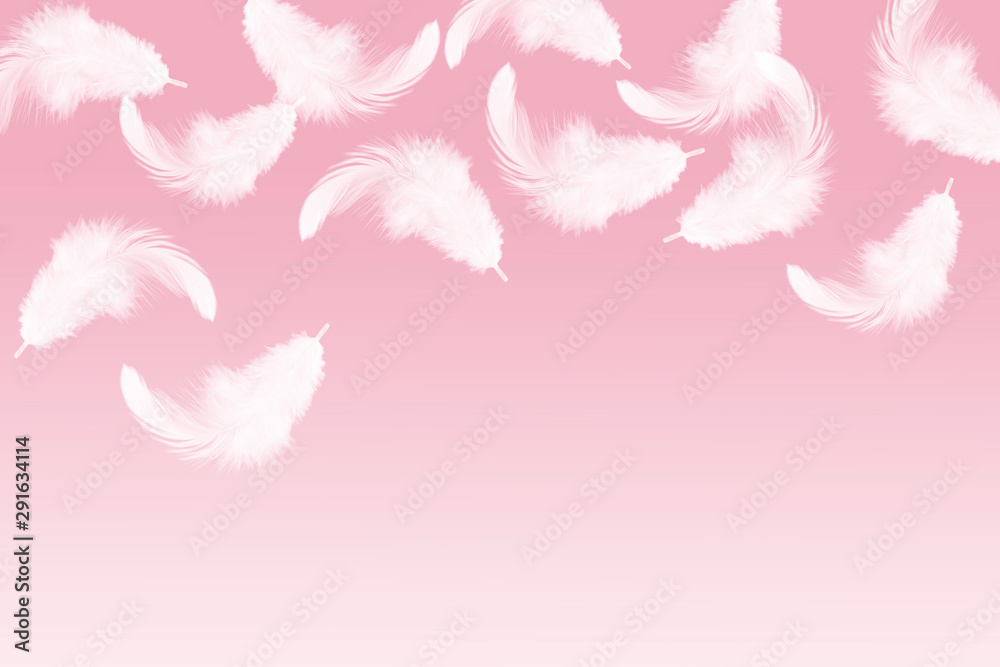 abstract, soft white feathers floating in the air, pink background abstract, soft white feathers floating in the air, pink background
