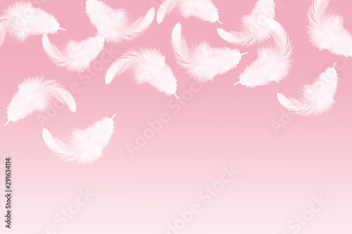 abstract, soft white feathers floating in the air, pink background