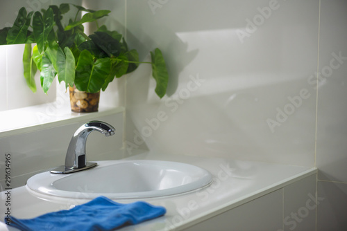 Bathroom interior with a white  basin Hand towel holder and green plant