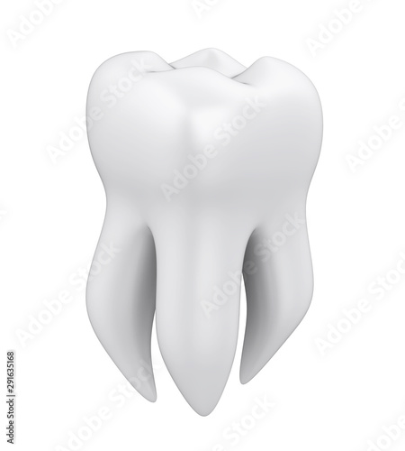 Molar Tooth Isolated