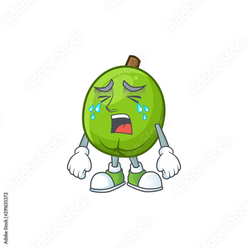Crying casimiroa fruit cartoon character with mascot