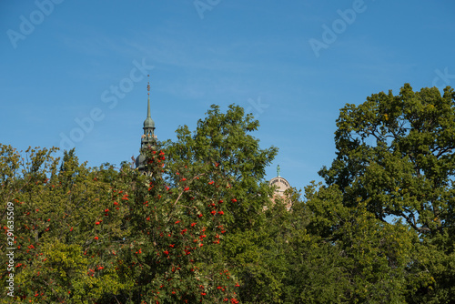 Spiers and tree tops in the autumn in Stockholm. photo
