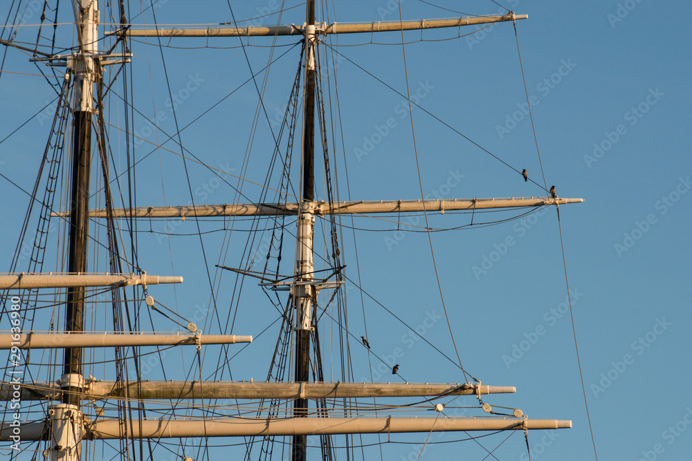 Boat tackling with crows in th harbour of Stockholm Boat tackling with crows in th harbour of Stockholm